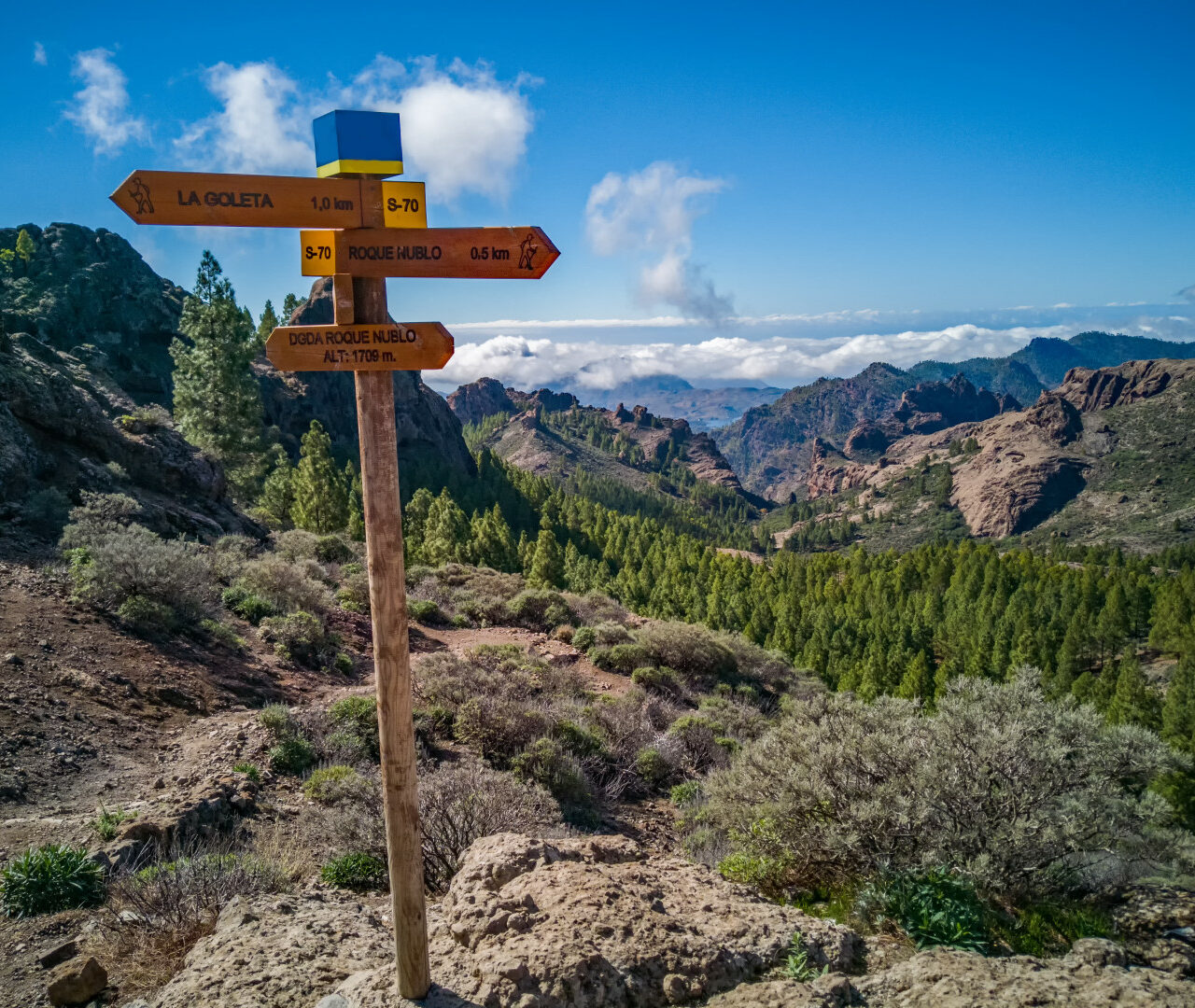 Gran Canaria, Wandern, Weg zum Roque Nublo, Gran Canaria Urlaub