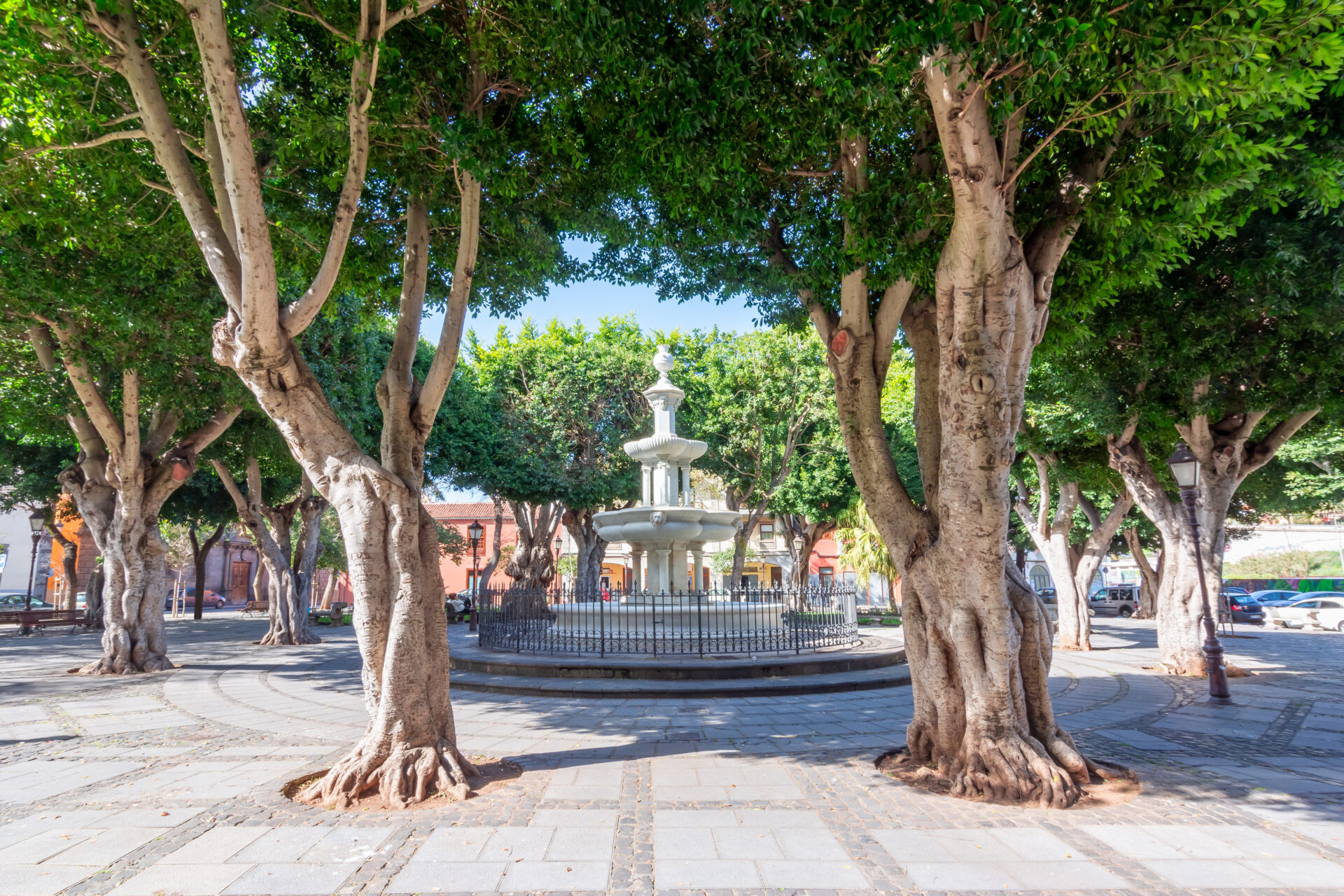 Plaza del Adelantado, Square in San Cristobal de La Laguna