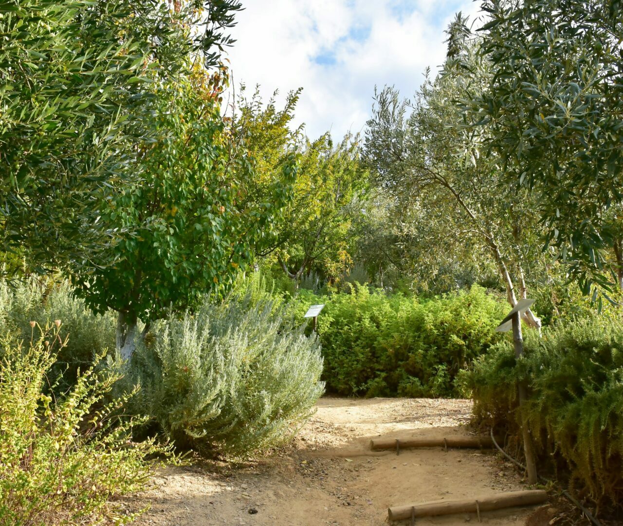 Botanischer Garten