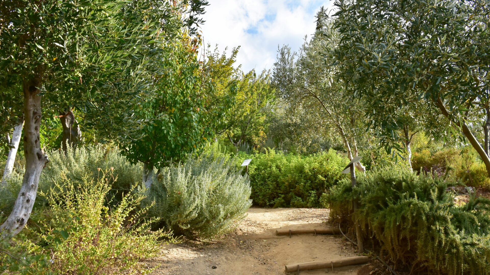 Botanischer Garten