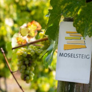 Moselsteig