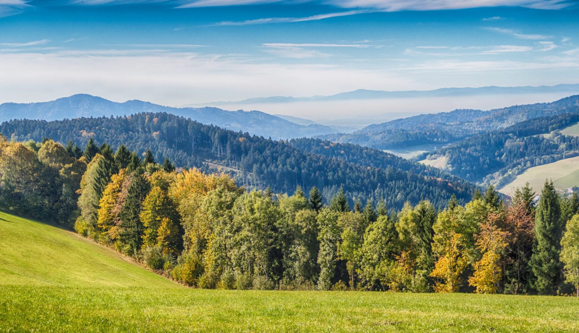 Schwarzwald