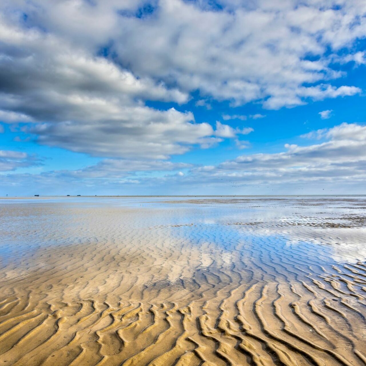 Wattenmeer, Nordsee