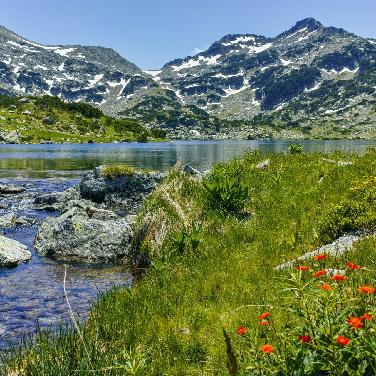 Pirin Nationalpark