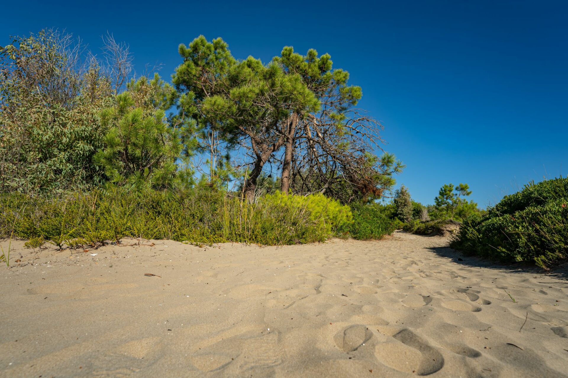 Kalamaki Beach